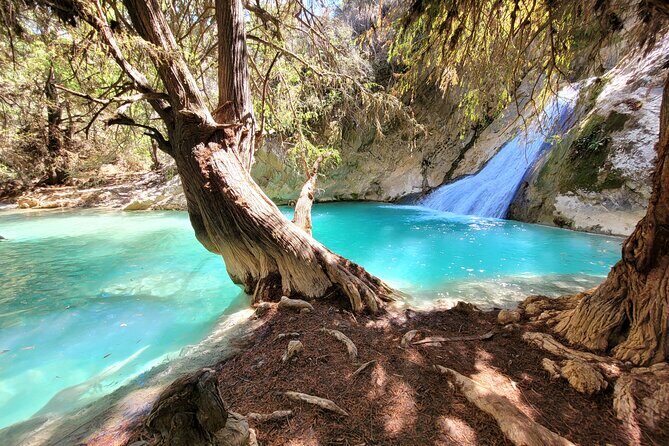 Apoala Magic Waterfalls Hike and Swim Adventure - What Makes This Tour Stand Out?