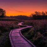 Appalachian Trail, Mountain Hiking Tours from New York City - Authentic Insights from the Tour Experience