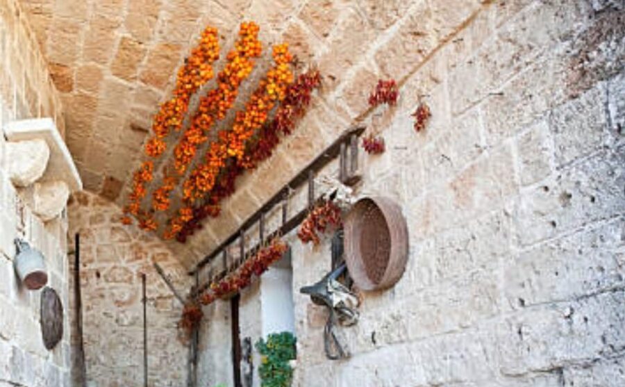 Apulia: Guided Vineyard Tour with Wine Tasting - The Practicalities