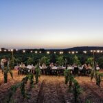 Apulia: Guided Wine Tasting with Local Appetizers - Why This Tour Stands Out