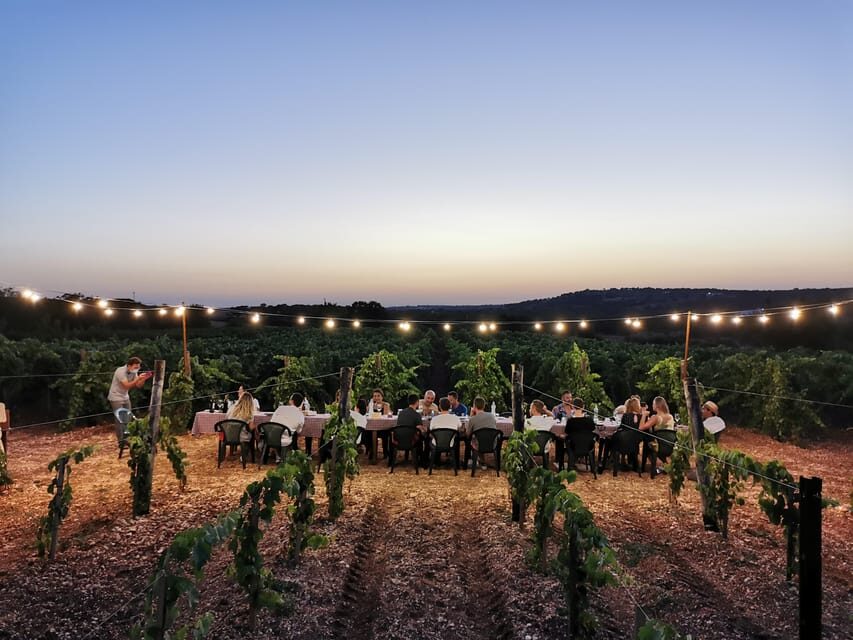 Apulia: Guided Wine Tasting with Local Appetizers - Why This Tour Stands Out