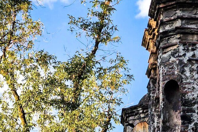 ARCHITECTURAL TOUR in Coyoacán - small groups - Authentic Experience and Insights from Reviews  