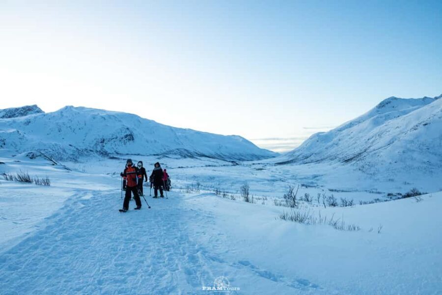 Arctic hike on Kvaløya Island with drinks and snacks - What the Snowshoeing Entails