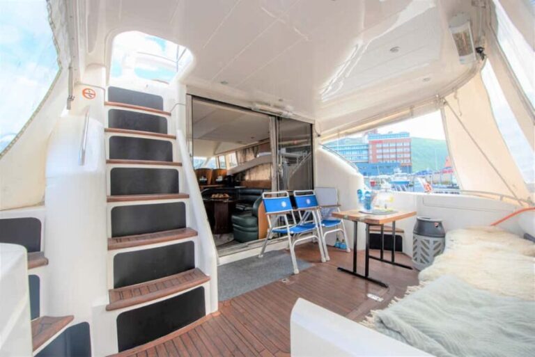 Arctic Whale Watching: Tromsø to Skjervøy in Comfort - Wildlife Watching: The Heart of the Tour