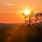 Arctic Wilderness Hike from Rovaniemi (Day & Evening) - Why This Tour Stands Out