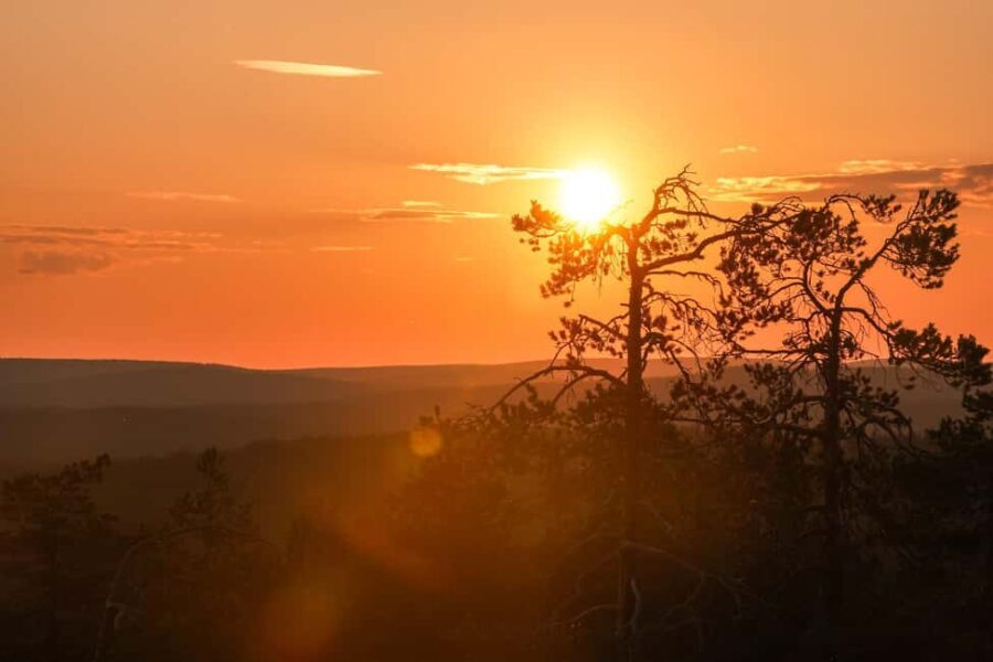 Arctic Wilderness Hike from Rovaniemi (Day & Evening) - Why This Tour Stands Out