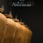 Ardèche: Cellar tour and tasting of our range - Price and Value