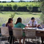 Ardèche: Tour and tasting of wines aged in amphorae and barrels - Detailed Breakdown of the Tour