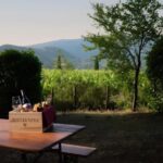 Arezzo: Tuscan Vineyard Picnic with Wine and Local Food - Is It Worth the Price?