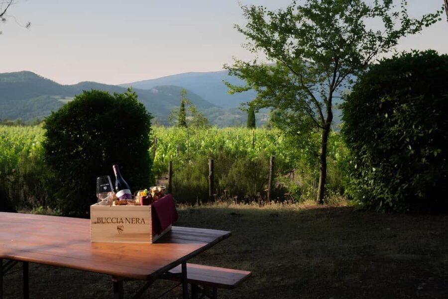 Arezzo: Tuscan Vineyard Picnic with Wine and Local Food - Is It Worth the Price?