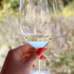 Argostoli Port: Kefalonian Delights Tour - Who Will Love This Tour?