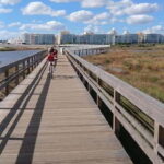 Armação de Pera: Salgados Natural Park E-Bike Tour - Exploring the Details: What Makes This Tour Special?