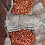 Armenia, Quindío: Traditional coffee farm tour with roasting and transportation - Practical Tips