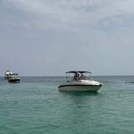 Arrábida - Fantastic dolphin tour - Why This Tour Offers Great Value