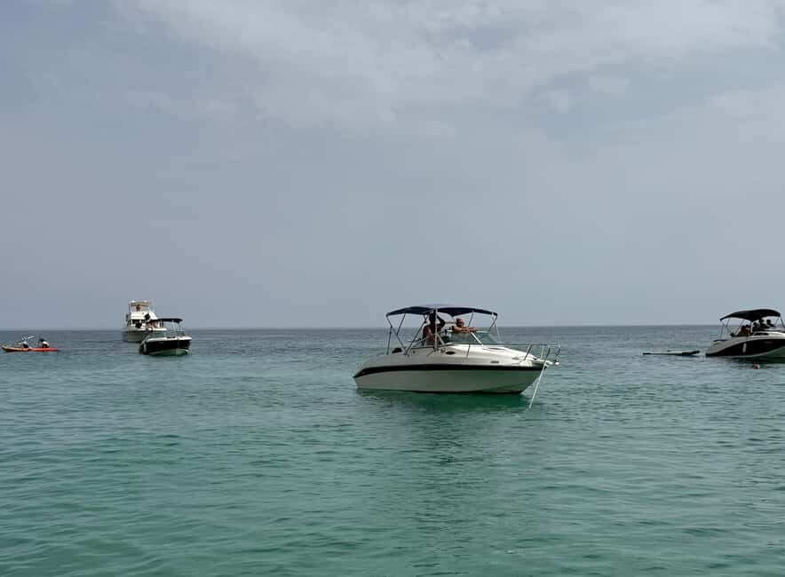 Arrábida - Fantastic dolphin tour - Why This Tour Offers Great Value