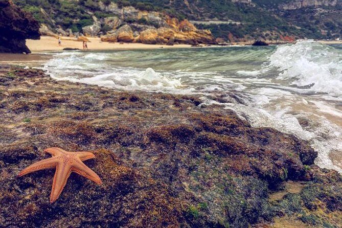 Arrábida Jeep Tour Incredible Market & Hidden Gems - Practical Details and What to Expect