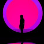 ARTE MUSEUM Immersive Media Art Exhibition in NYC - Who Should Consider Visiting?