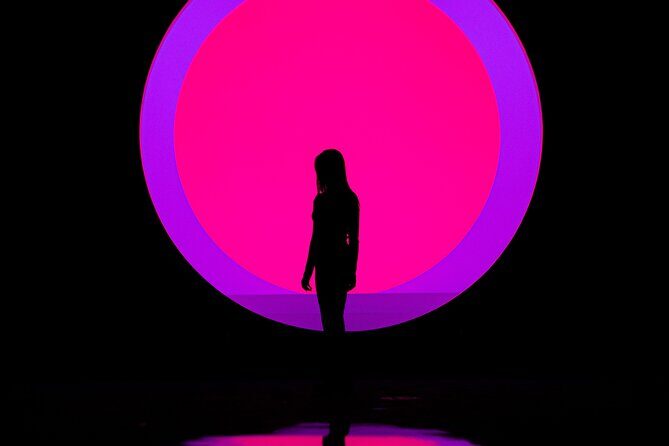 ARTE MUSEUM Immersive Media Art Exhibition in NYC - Who Should Consider Visiting?