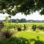 At the gates of Toulouse : Gourmet Tour - Walk and Tastings - Transportation and Practicalities