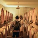 At the heart of a Grand Cru: tour & tasting in Saint-Émilion - An Authentic Look at Château Palais Cardinal