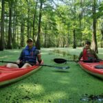Atchafalaya Basin: 2.5 Hr. Guided Kayak Tour - The Sum Up: Who Will Love This Tour?