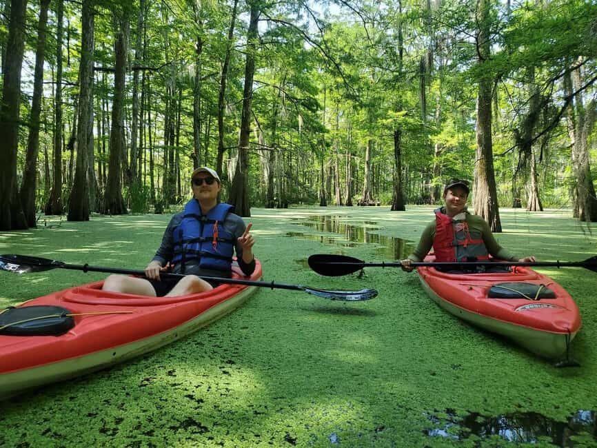 Atchafalaya Basin: 2.5 Hr. Guided Kayak Tour - The Sum Up: Who Will Love This Tour?