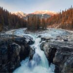 Athabasca Falls/Abraham,Sunwapta Falls, Icefield, Peyto Lake - What to Expect on the Day