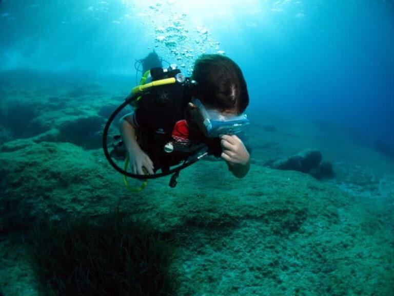 Athens: Discover Scuba Diving Experience for Beginners - The Practicalities of the Experience  