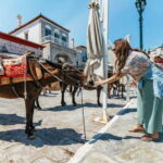 Athens: Hydra, Poros & Aegina Day Cruise with Lunch - What Does It All Add Up To?