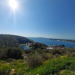Athens: Sounio Poseidon Temple Athens Riviera Trip, Swimming - What You Can Expect: A Breakdown of the Day