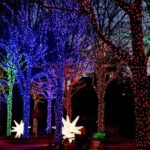 Atlanta: Christmas Private Walking Tour - Why This Tour Offers Good Value