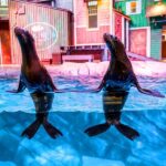 Atlanta: Georgia Aquarium Skip-the-Box-Office Entry Ticket - The Sum Up