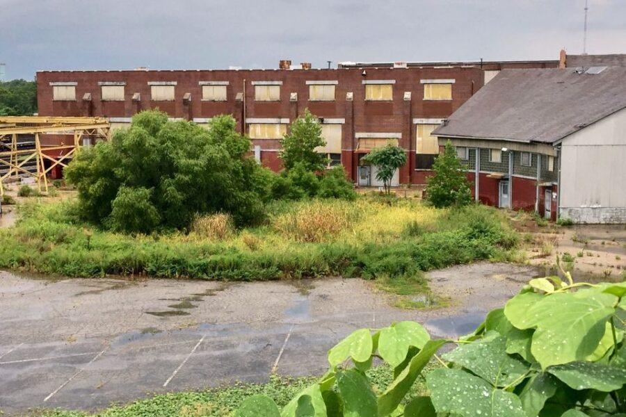 Atlanta: 'The Walking Dead' VIP Private Tour - A Deep Dive into the Tour Experience