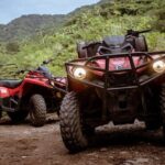 ATV Adventure in the Jungle - Shared - An In-Depth Look at the Experience