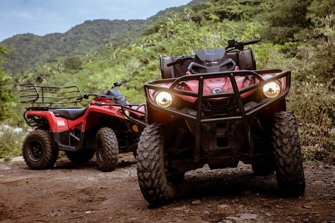ATV Adventure in the Jungle - Shared - An In-Depth Look at the Experience