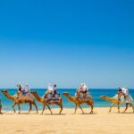 ATV & Camel Ride Tour on Migriño Beach - What to Expect from the Tour