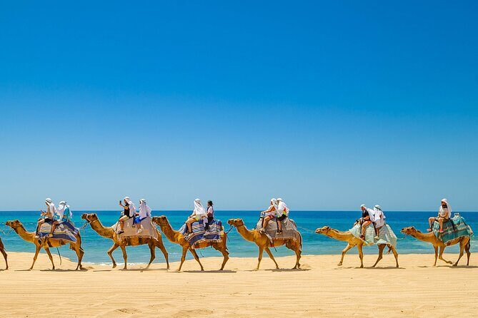 ATV & Camel Ride Tour on Migriño Beach - What to Expect from the Tour