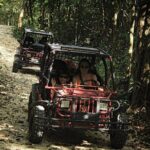 Atv drive and cenote tour!! - Transportation and Group Size