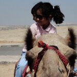 ATV Giza Pyramid Tour with Camel Ride and Lunch - The Sum Up