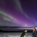 Aurora Activity at Sluice Box Sled Dogs - Why This Tour Works for You