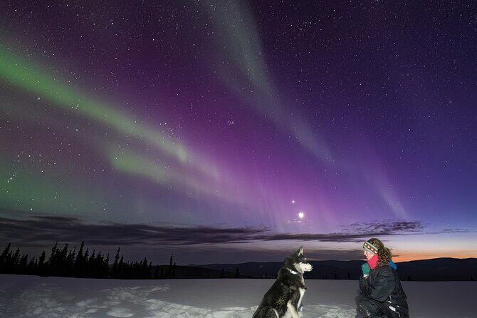 Aurora Activity at Sluice Box Sled Dogs - Why This Tour Works for You