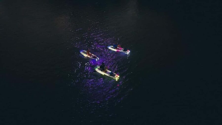 Austin: Glow Paddleboard Tour - What to Expect from the Tour