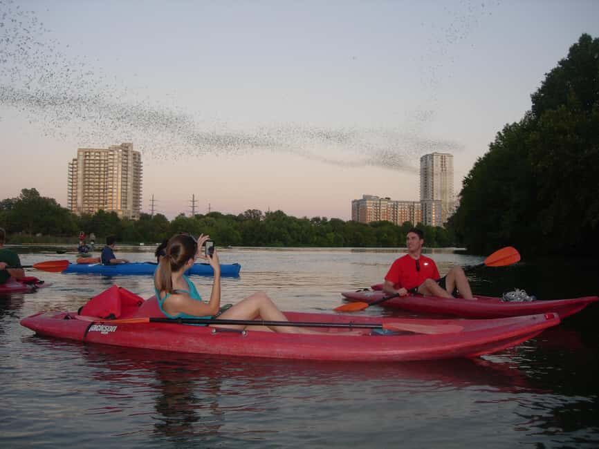 Austin: Guided Bat-Watching Kayak Tour - Practical Aspects and Value