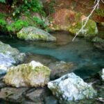 Austin: Journey to the Springs Guided Tour - Who Should Consider This Tour?