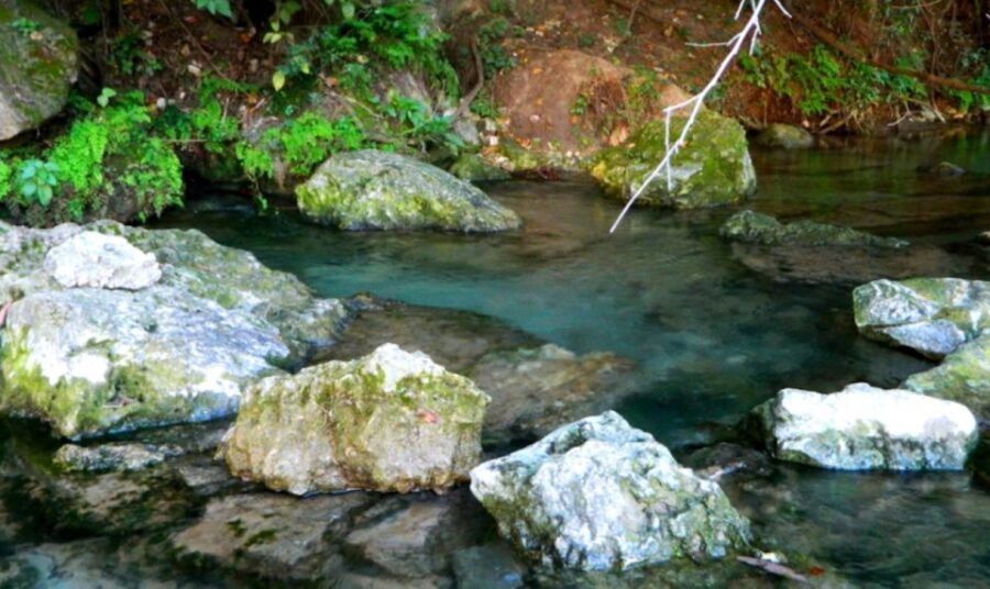 Austin: Journey to the Springs Guided Tour - Who Should Consider This Tour?