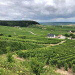 Authentic Champagne Tour: 3 vineyards, 10 Tastings & Lunch - FAQ