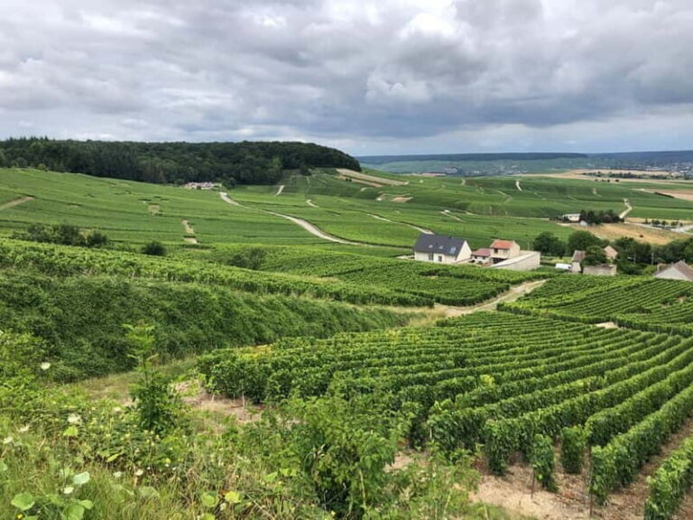 Authentic Champagne Tour: 3 vineyards, 10 Tastings & Lunch - FAQ