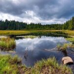 Authentic Slovenia: A Mystery Travel Day Tour - Who would love this tour?