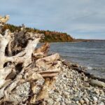 Autumn in Acadia National Park Private Leaf Peeper Driving Tour - Who Should Consider This Tour?