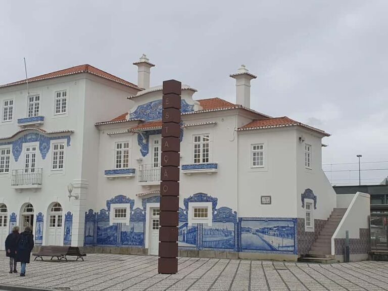 Aveiro and Coimbra private tour from Porto - The Full Experience: A Deep Dive Into the Tour